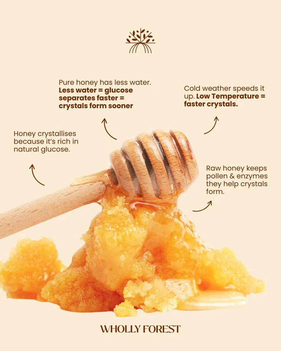 Guide explaining why raw honey naturally crystallizes