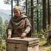 Himachali beekeeper woman inspecting wooden beehives in a dense pine and cedar mountain forest